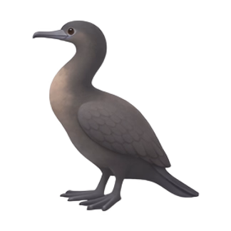 flightless cormorant