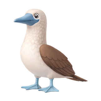 blue-footed booby