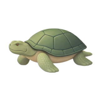 sea turtle